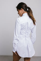 Set Camelia